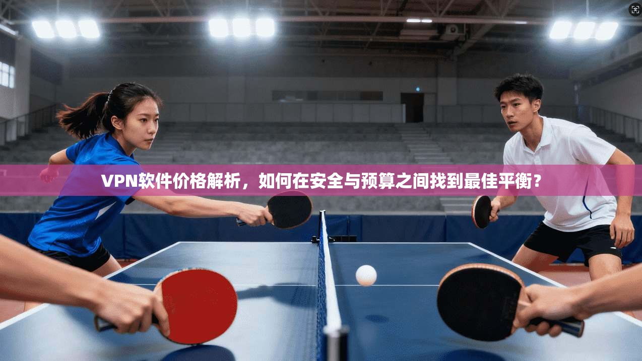 VPN软件价格解析，如何在安全与预算之间找到最佳平衡？