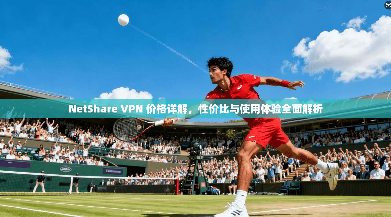 NetShare VPN 价格详解，性价比与使用体验全面解析