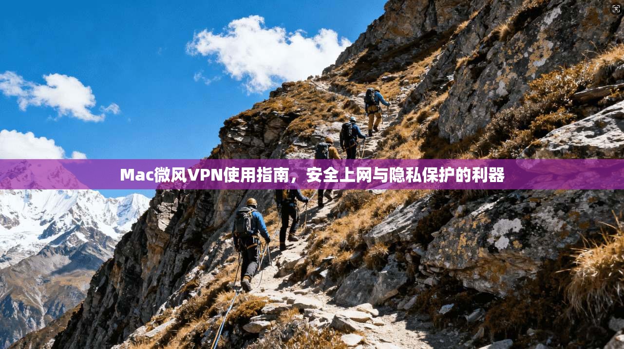 Mac微风VPN使用指南，安全上网与隐私保护的利器