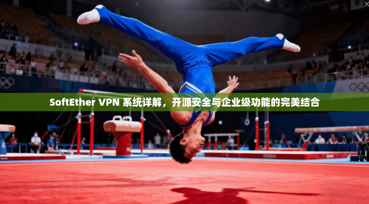SoftEther VPN 系统详解，开源安全与企业级功能的完美结合