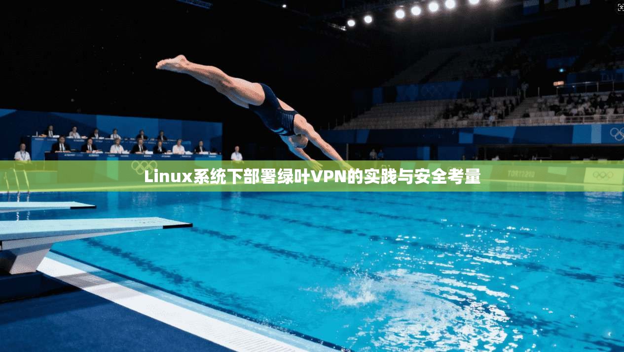 Linux系统下部署绿叶VPN的实践与安全考量