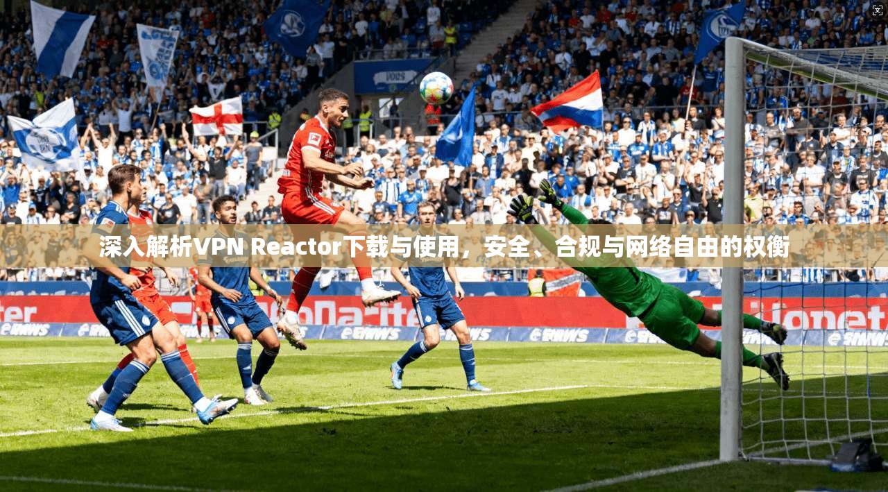 深入解析VPN Reactor下载与使用，安全、合规与网络自由的权衡