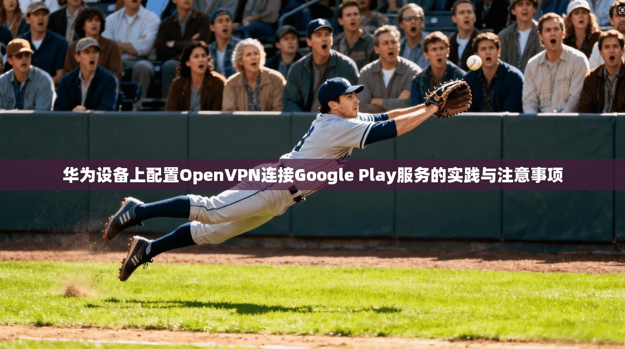 华为设备上配置OpenVPN连接Google Play服务的实践与注意事项