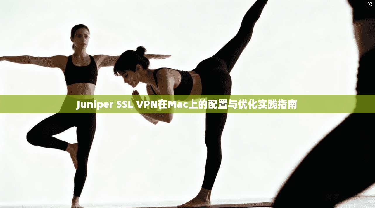 Juniper SSL VPN在Mac上的配置与优化实践指南