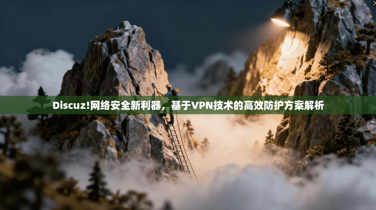 Discuz!网络安全新利器，基于VPN技术的高效防护方案解析