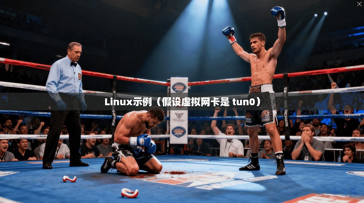 Linux示例（假设虚拟网卡是 tun0）