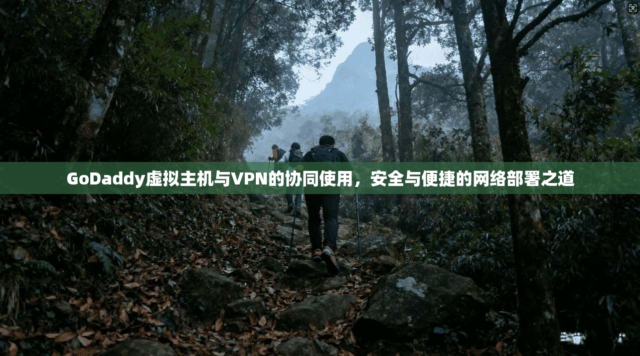 GoDaddy虚拟主机与VPN的协同使用，安全与便捷的网络部署之道