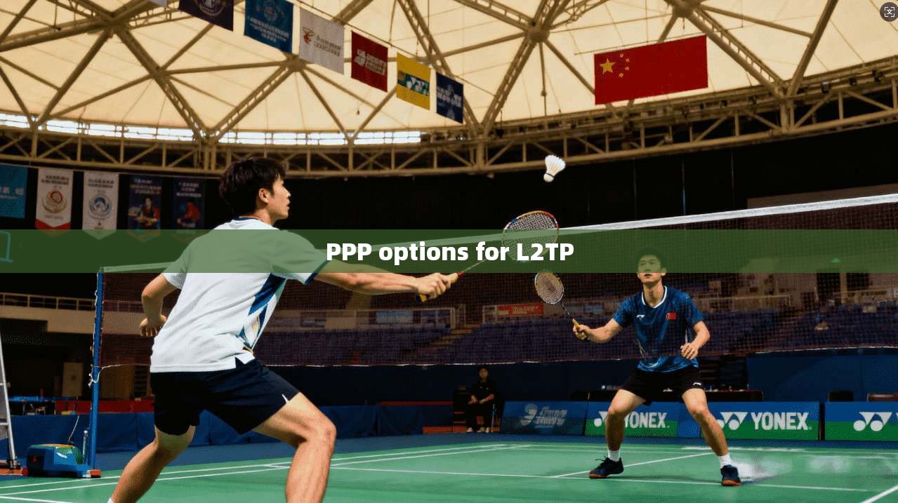 PPP options for L2TP