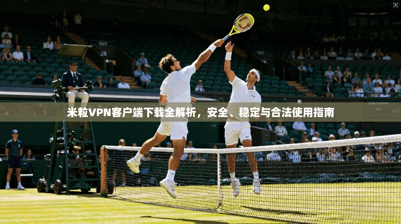 米粒VPN客户端下载全解析，安全、稳定与合法使用指南