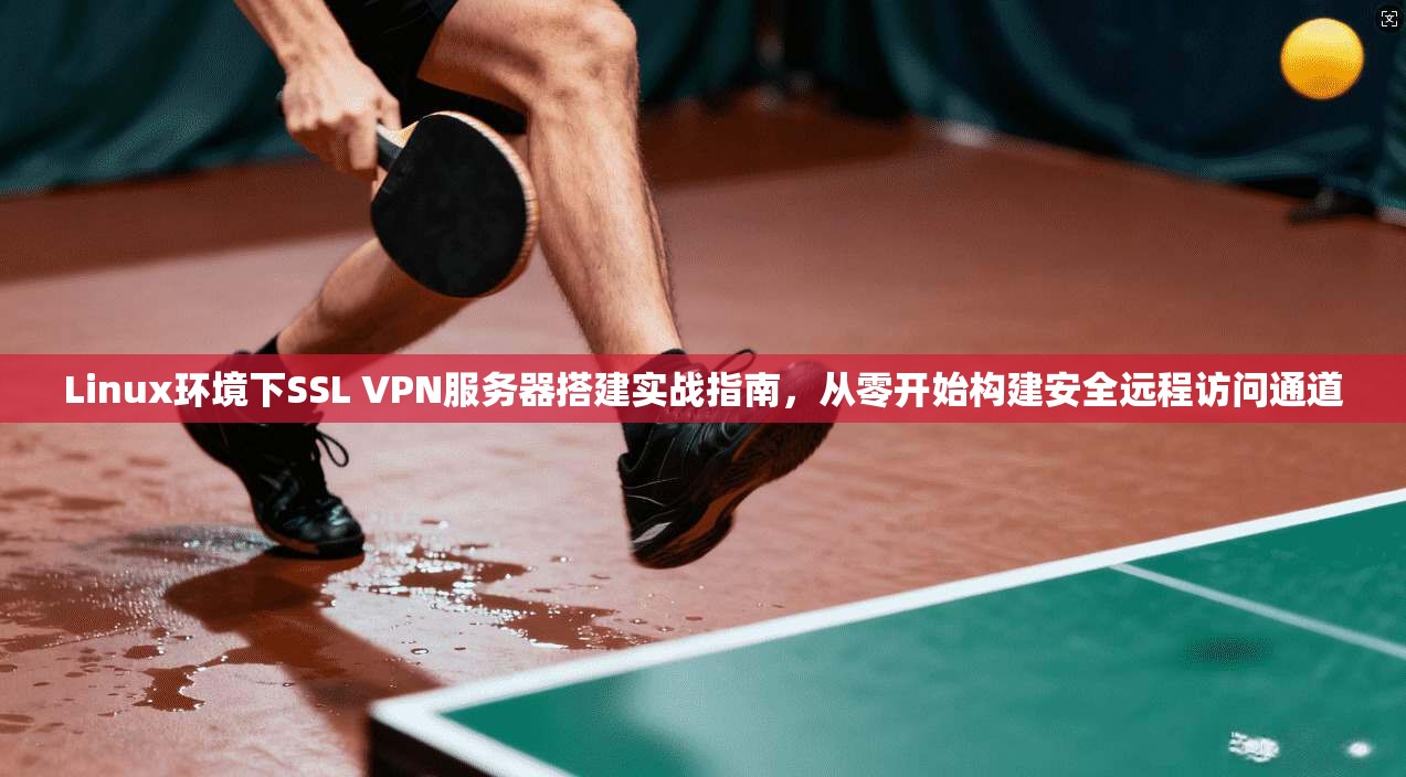 Linux环境下SSL VPN服务器搭建实战指南，从零开始构建安全远程访问通道