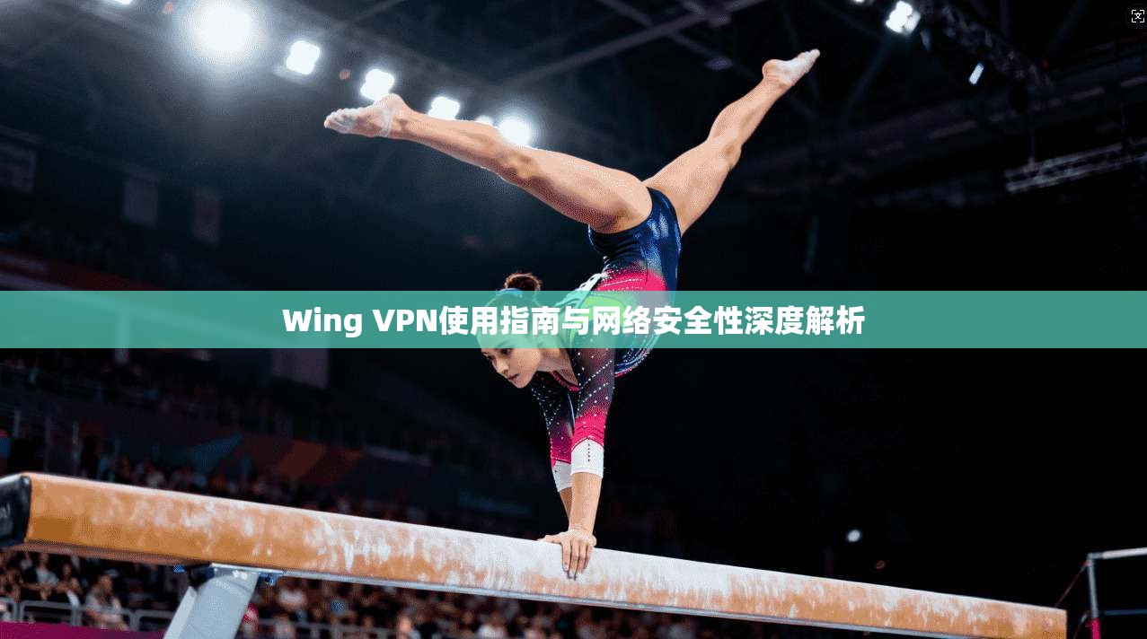 Wing VPN使用指南与网络安全性深度解析