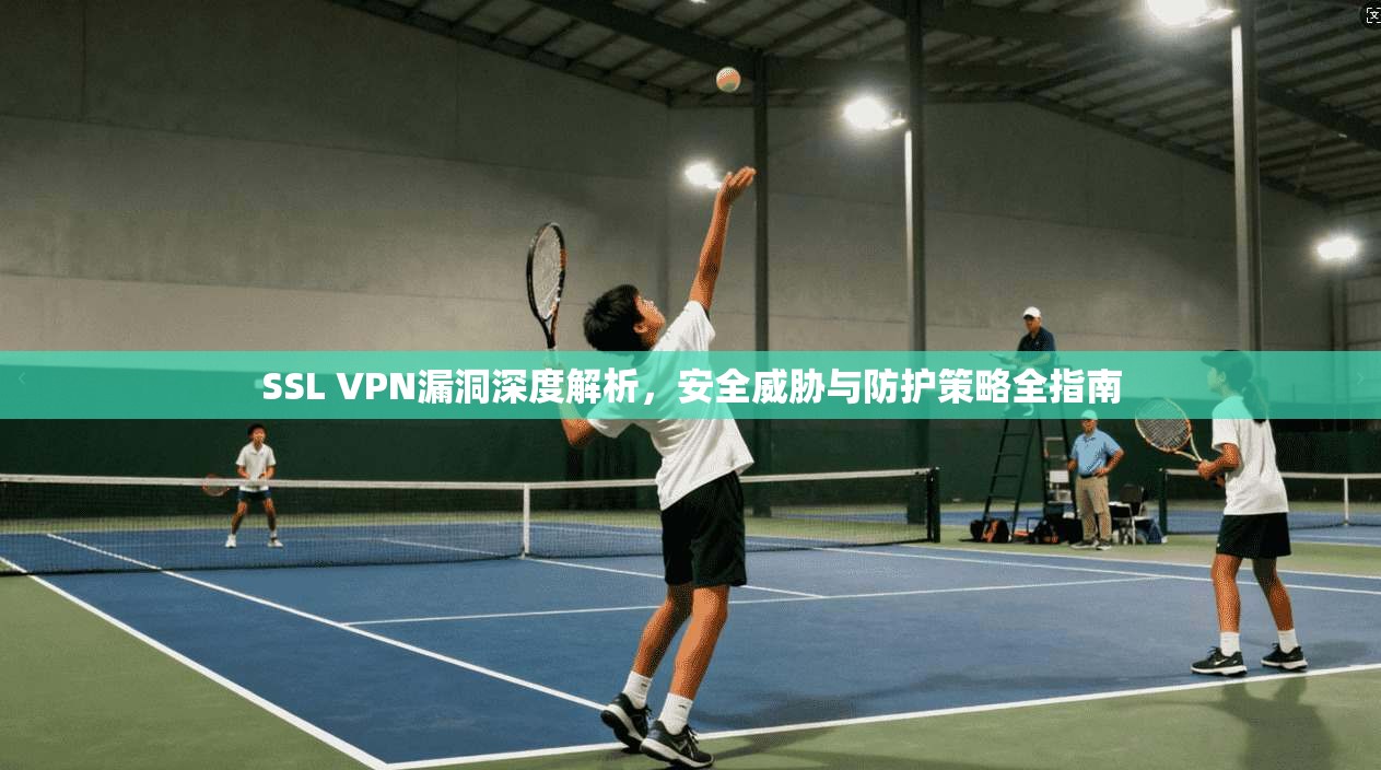 SSL VPN漏洞深度解析，安全威胁与防护策略全指南