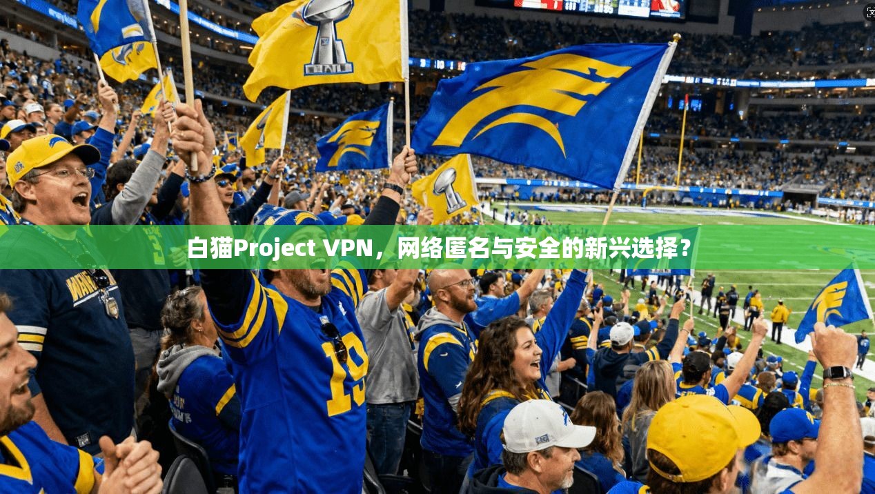 白猫Project VPN，网络匿名与安全的新兴选择？