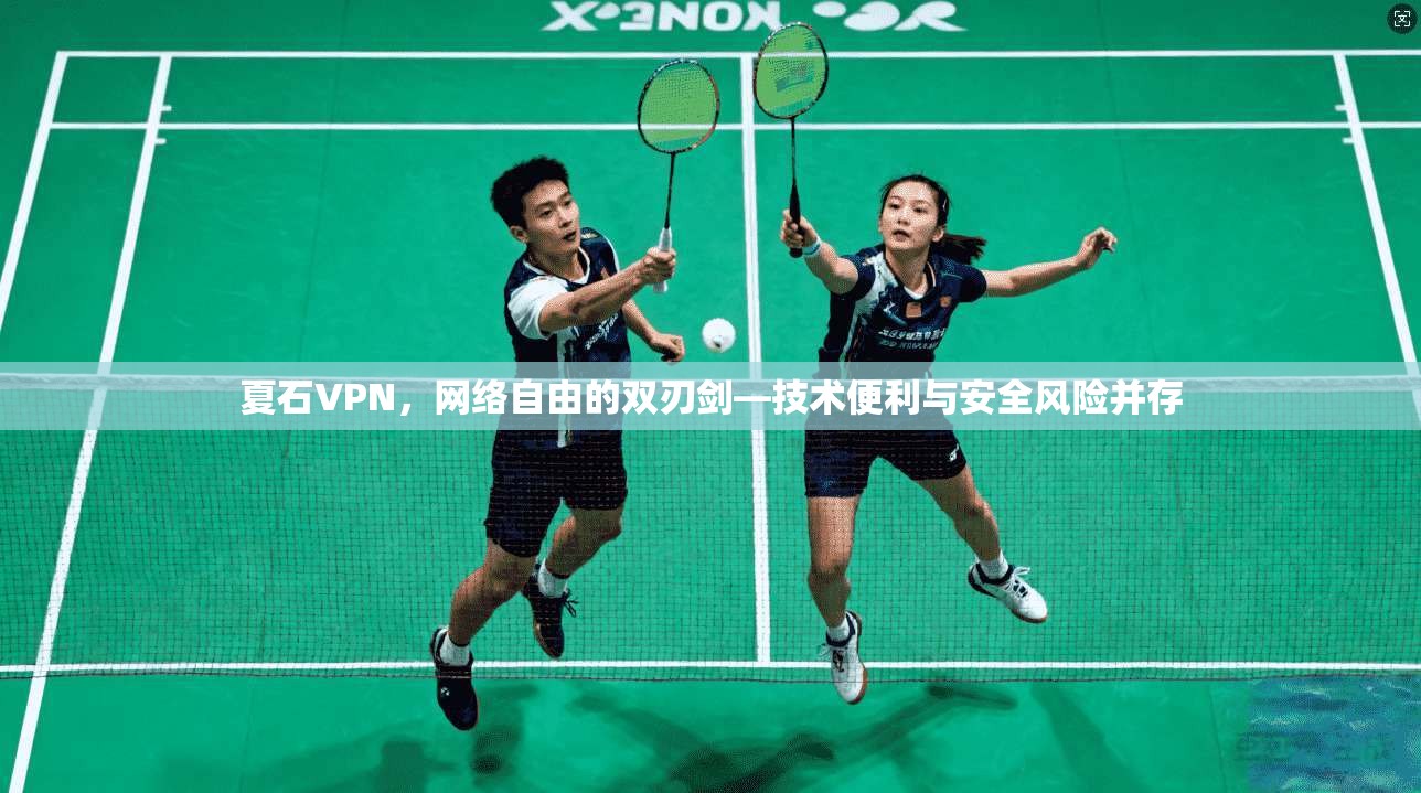 夏石VPN，网络自由的双刃剑—技术便利与安全风险并存