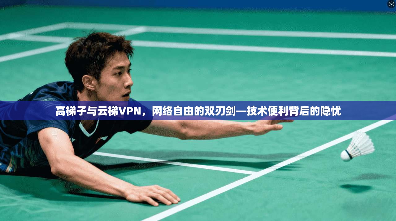 高梯子与云梯VPN，网络自由的双刃剑—技术便利背后的隐忧