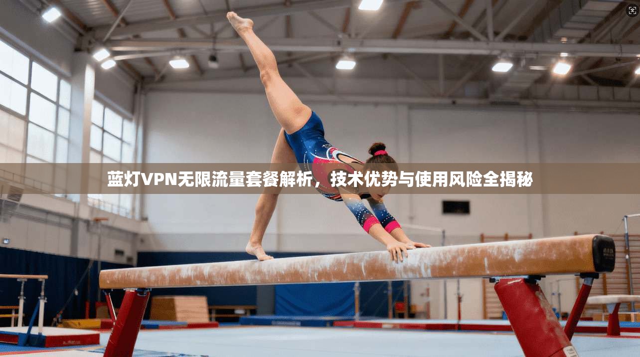 蓝灯VPN无限流量套餐解析，技术优势与使用风险全揭秘