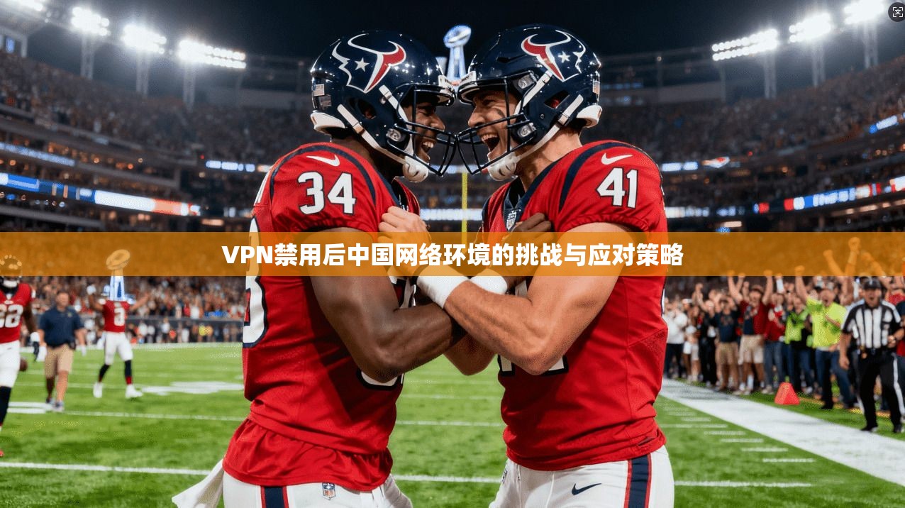 VPN禁用后中国网络环境的挑战与应对策略