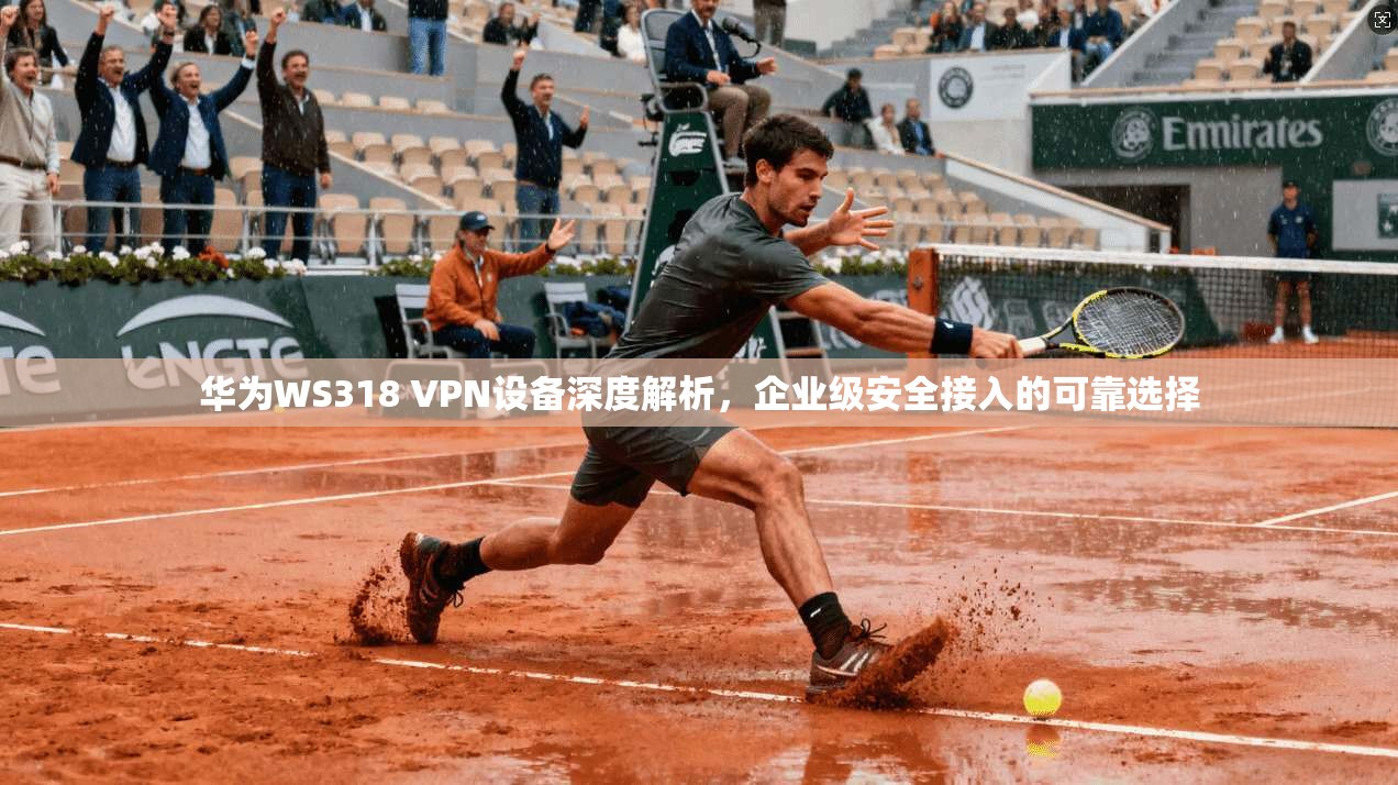 华为WS318 VPN设备深度解析，企业级安全接入的可靠选择