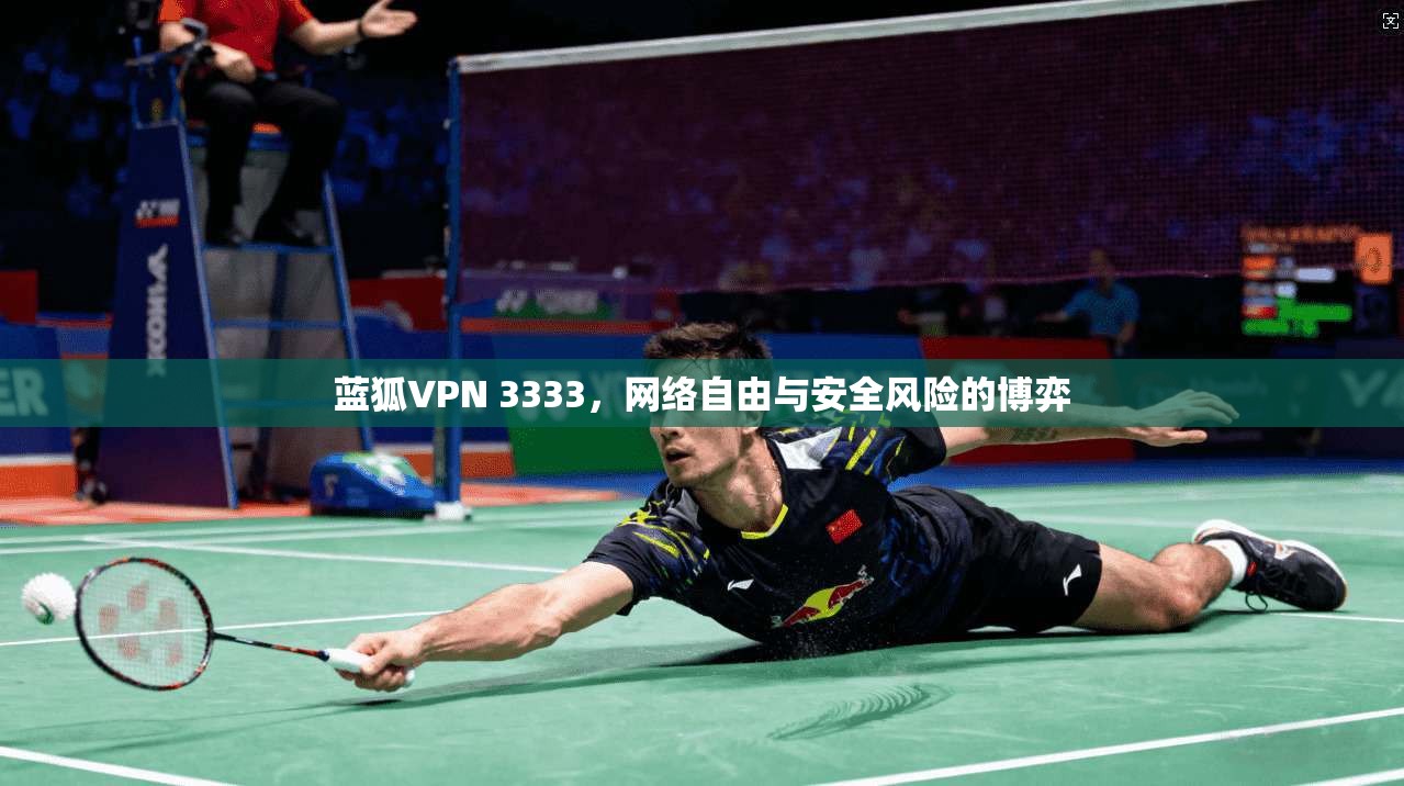 蓝狐VPN 3333，网络自由与安全风险的博弈