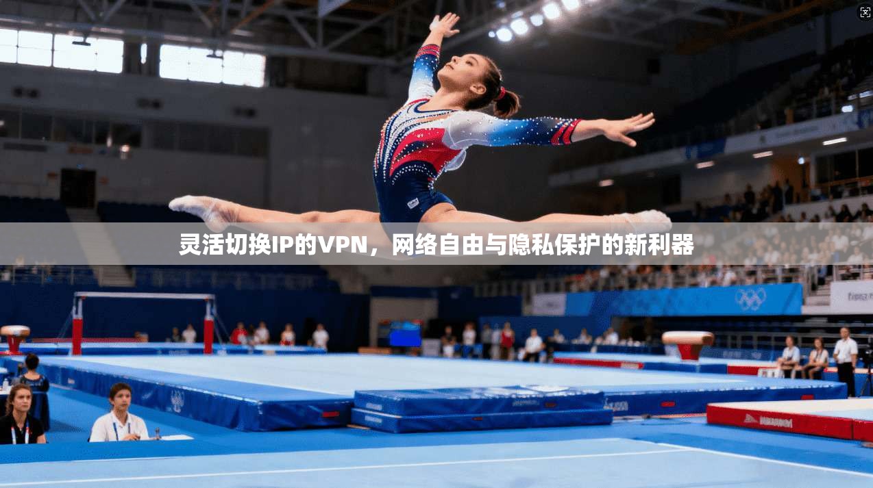灵活切换IP的VPN，网络自由与隐私保护的新利器