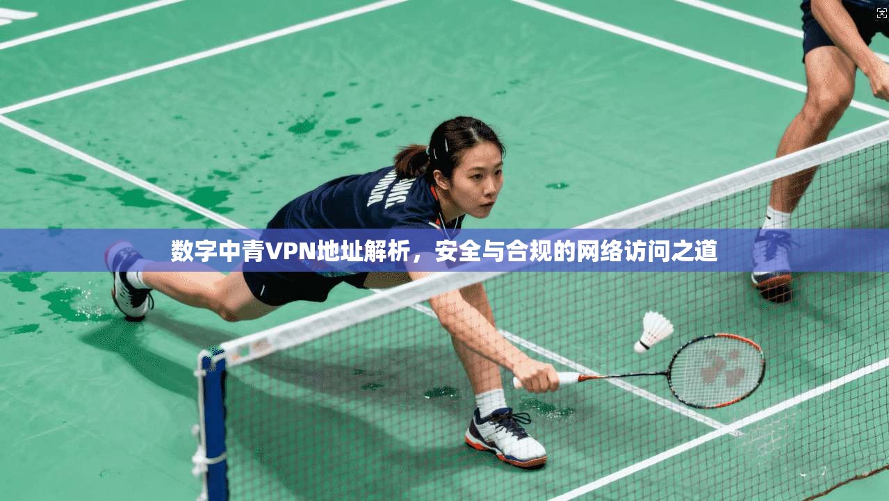 数字中青VPN地址解析，安全与合规的网络访问之道