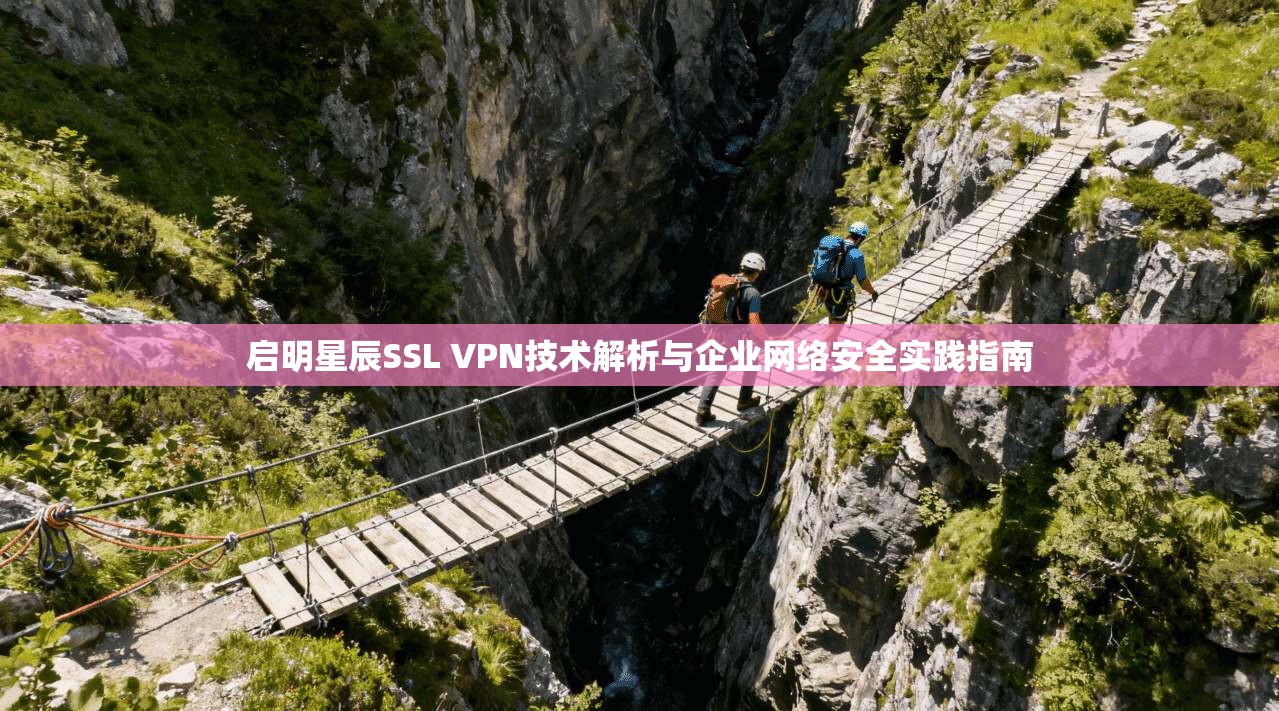 启明星辰SSL VPN技术解析与企业网络安全实践指南
