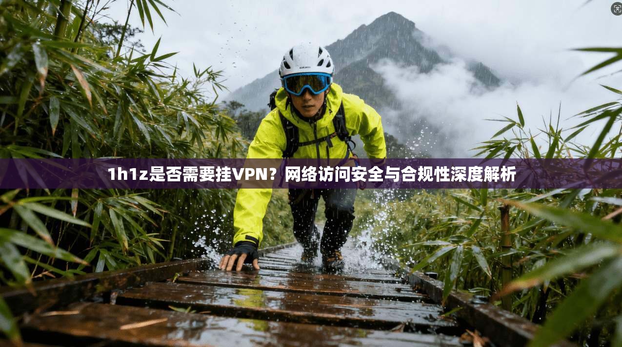 1h1z是否需要挂VPN？网络访问安全与合规性深度解析