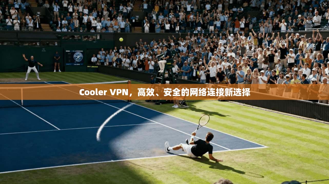 Cooler VPN，高效、安全的网络连接新选择