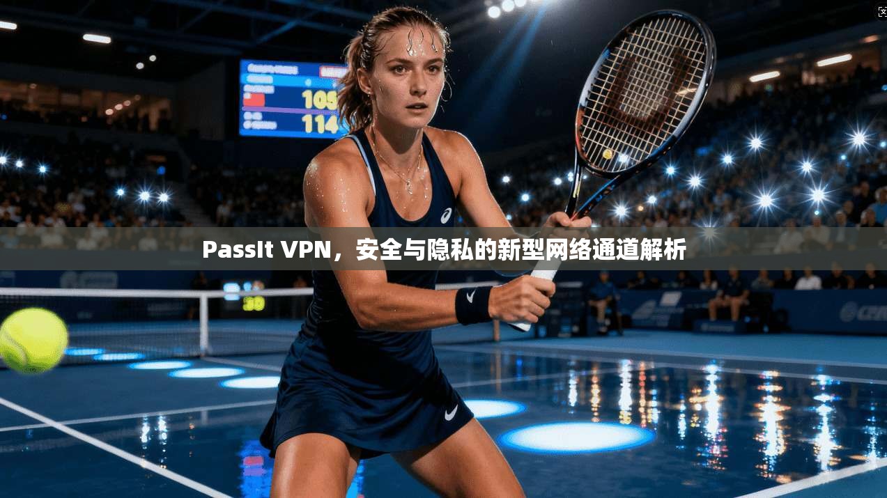 PassIt VPN，安全与隐私的新型网络通道解析