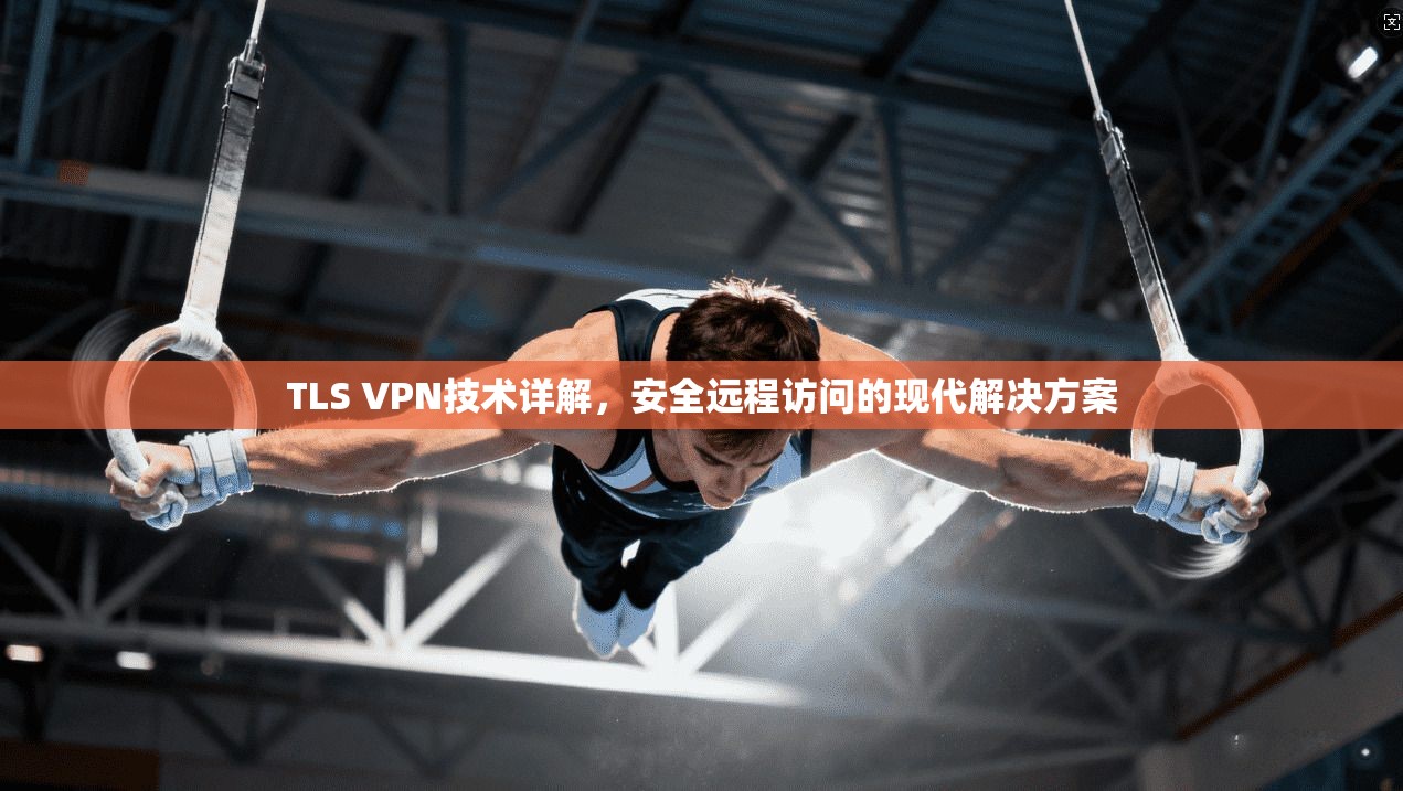 TLS VPN技术详解，安全远程访问的现代解决方案