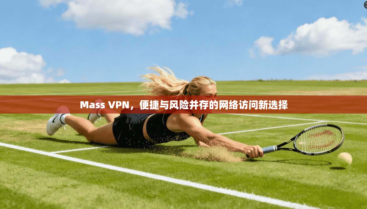 Mass VPN，便捷与风险并存的网络访问新选择