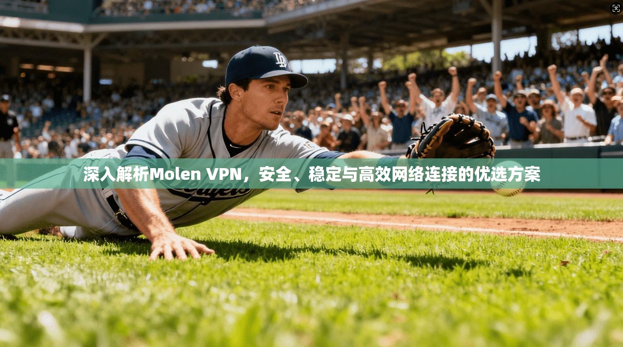 深入解析Molen VPN，安全、稳定与高效网络连接的优选方案