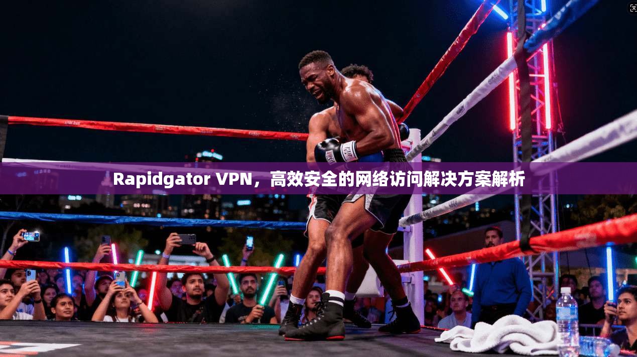 Rapidgator VPN，高效安全的网络访问解决方案解析