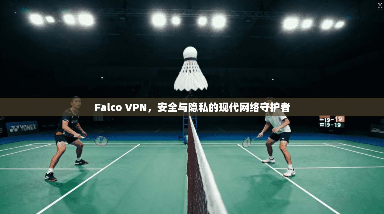 Falco VPN，安全与隐私的现代网络守护者