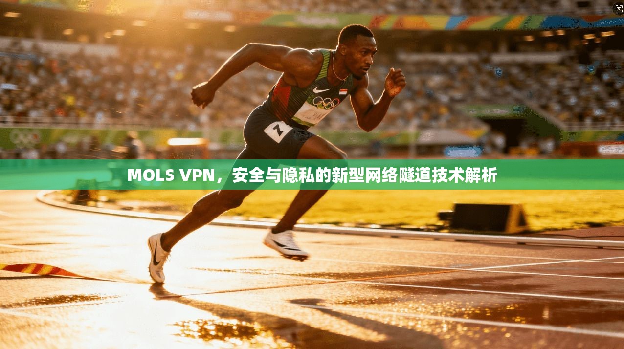 MOLS VPN，安全与隐私的新型网络隧道技术解析