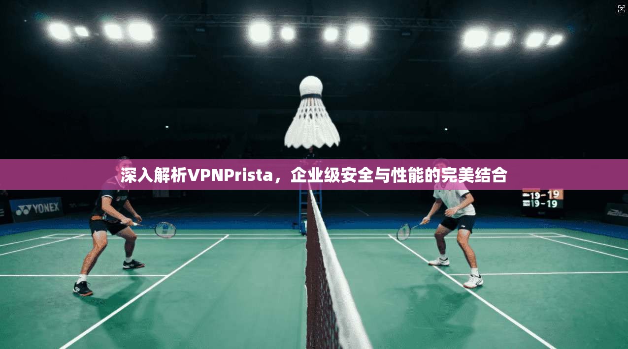 深入解析VPNPrista，企业级安全与性能的完美结合