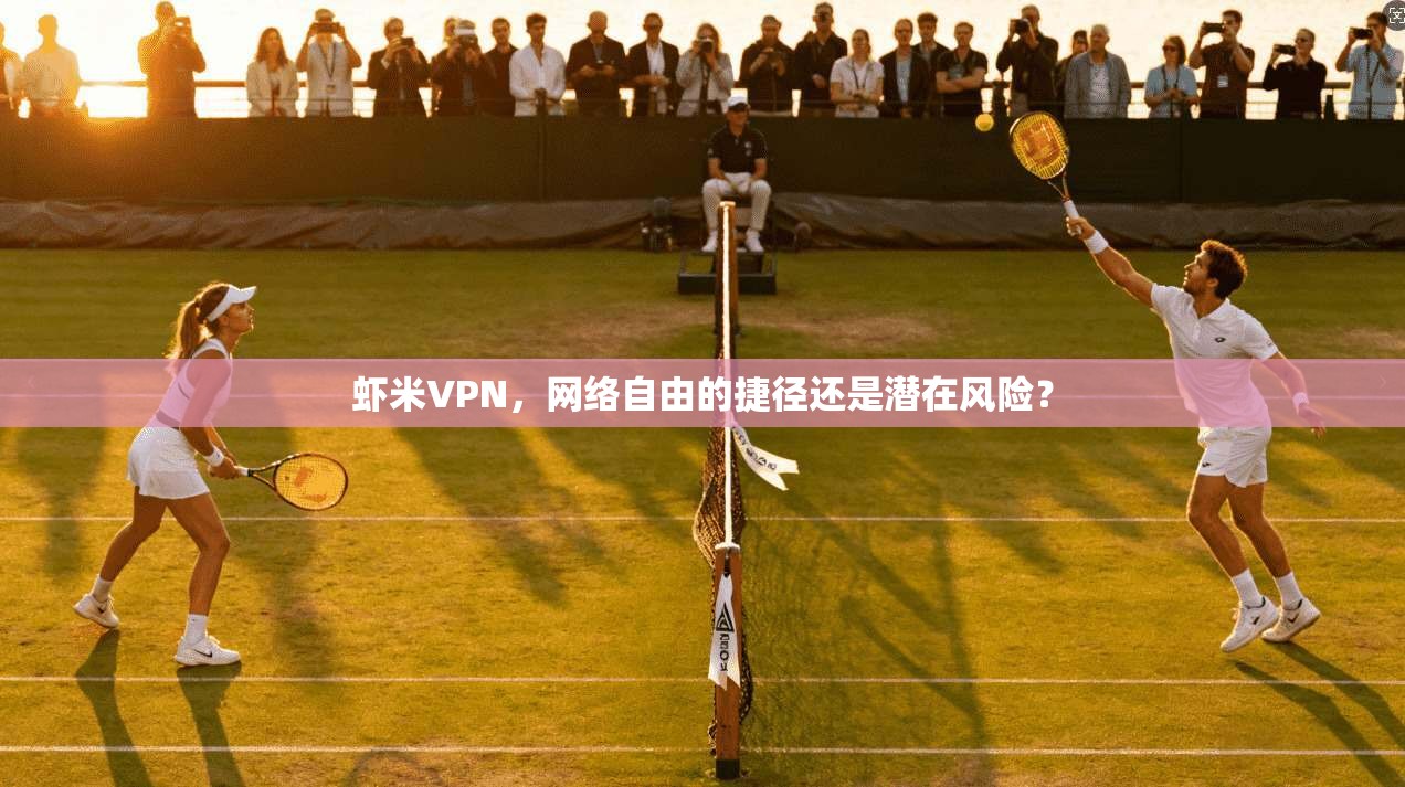 虾米VPN，网络自由的捷径还是潜在风险？