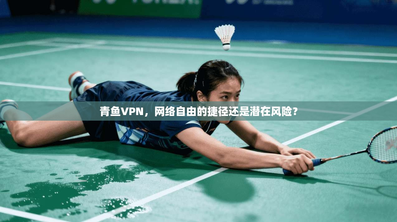 青鱼VPN，网络自由的捷径还是潜在风险？