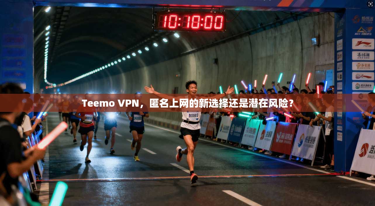 Teemo VPN，匿名上网的新选择还是潜在风险？