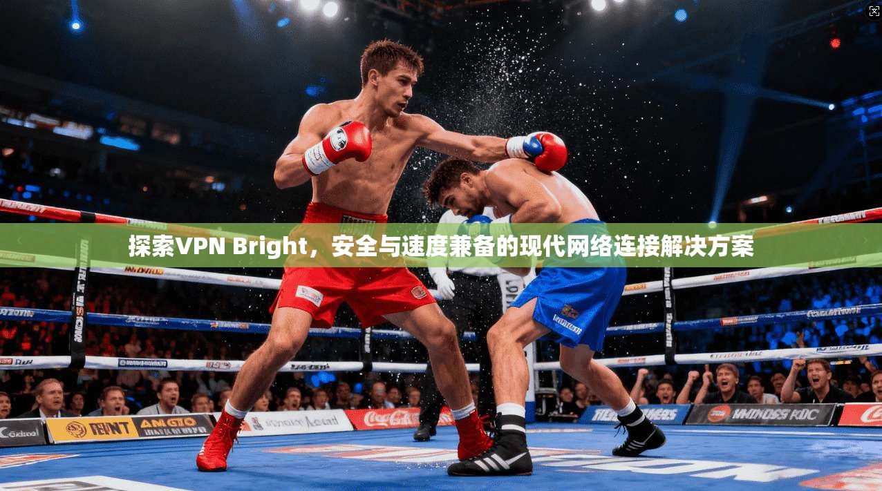 探索VPN Bright，安全与速度兼备的现代网络连接解决方案