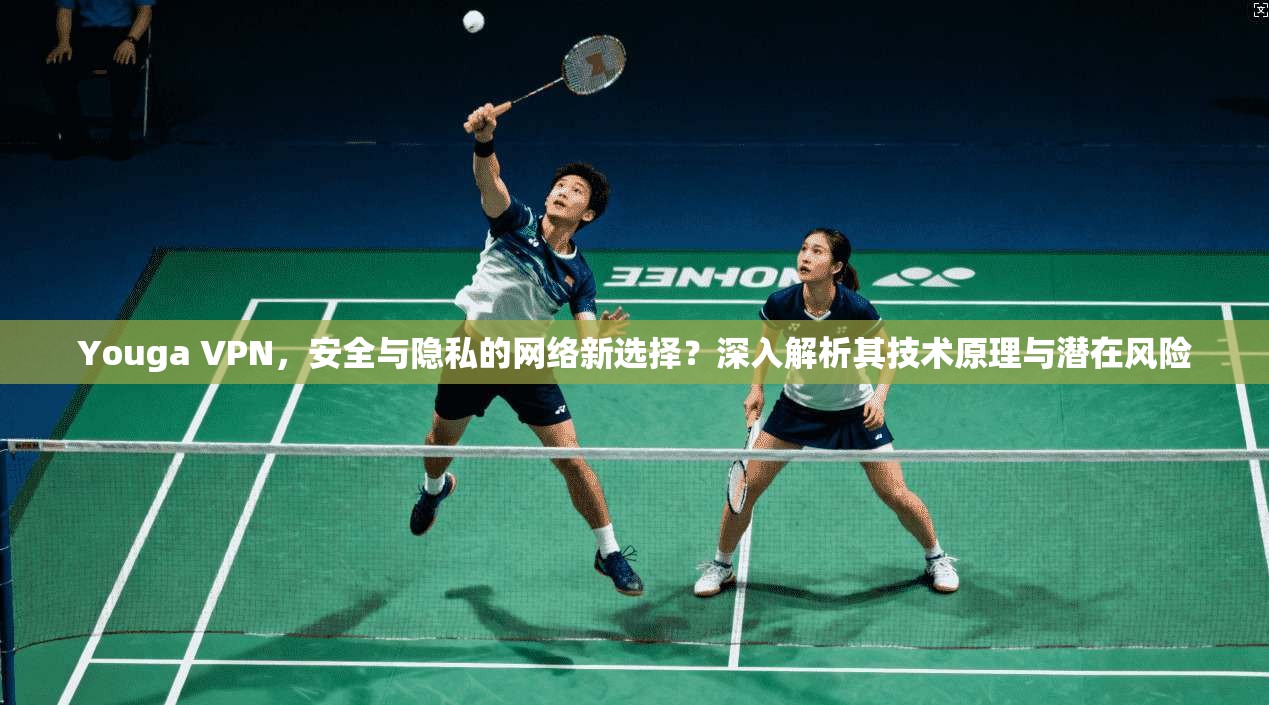 Youga VPN，安全与隐私的网络新选择？深入解析其技术原理与潜在风险