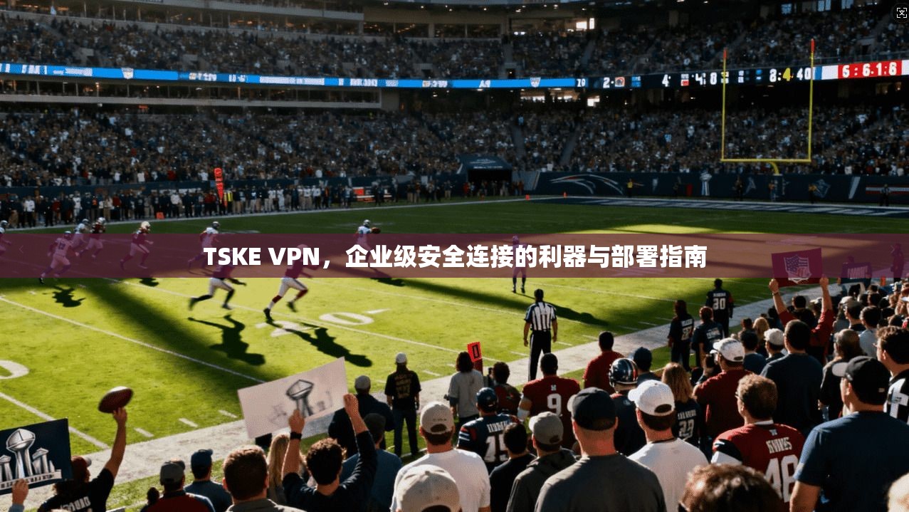 TSKE VPN，企业级安全连接的利器与部署指南
