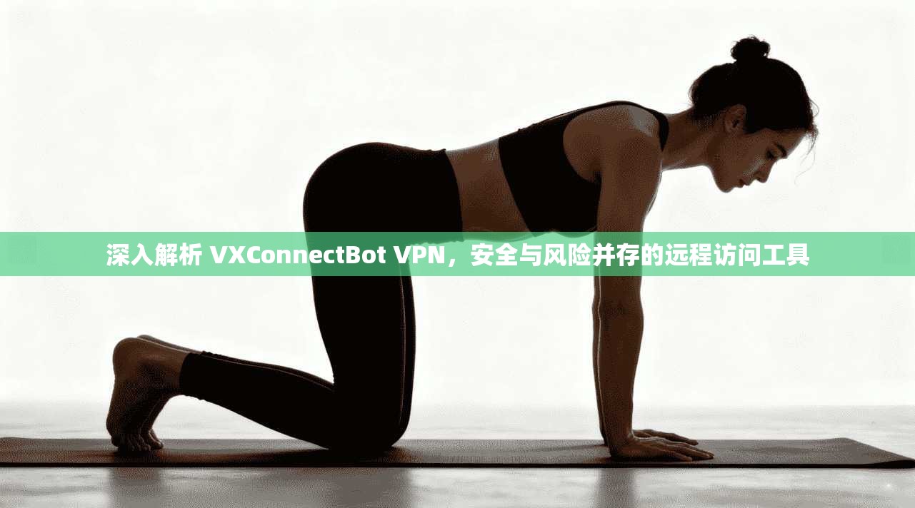 深入解析 VXConnectBot VPN，安全与风险并存的远程访问工具