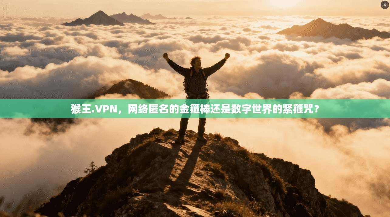 猴王.VPN，网络匿名的金箍棒还是数字世界的紧箍咒？