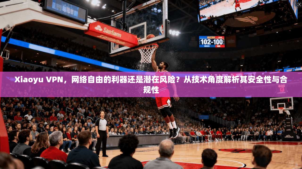 Xiaoyu VPN，网络自由的利器还是潜在风险？从技术角度解析其安全性与合规性