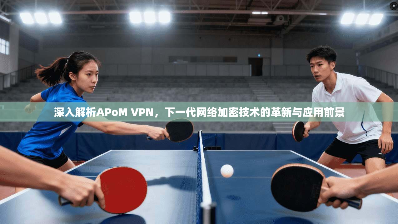 深入解析APoM VPN，下一代网络加密技术的革新与应用前景