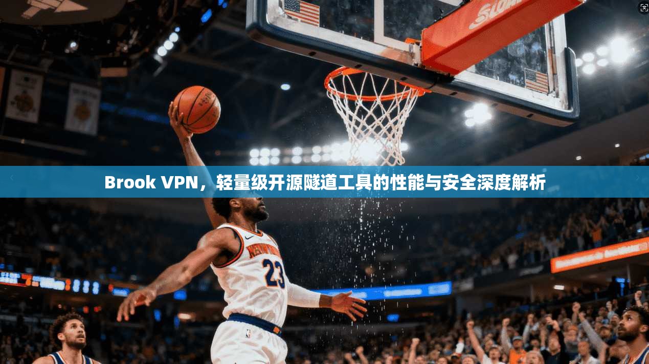 Brook VPN，轻量级开源隧道工具的性能与安全深度解析