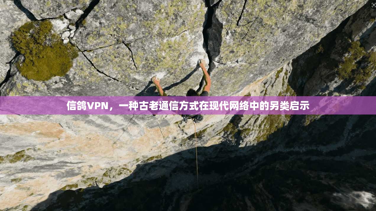 信鸽VPN，一种古老通信方式在现代网络中的另类启示