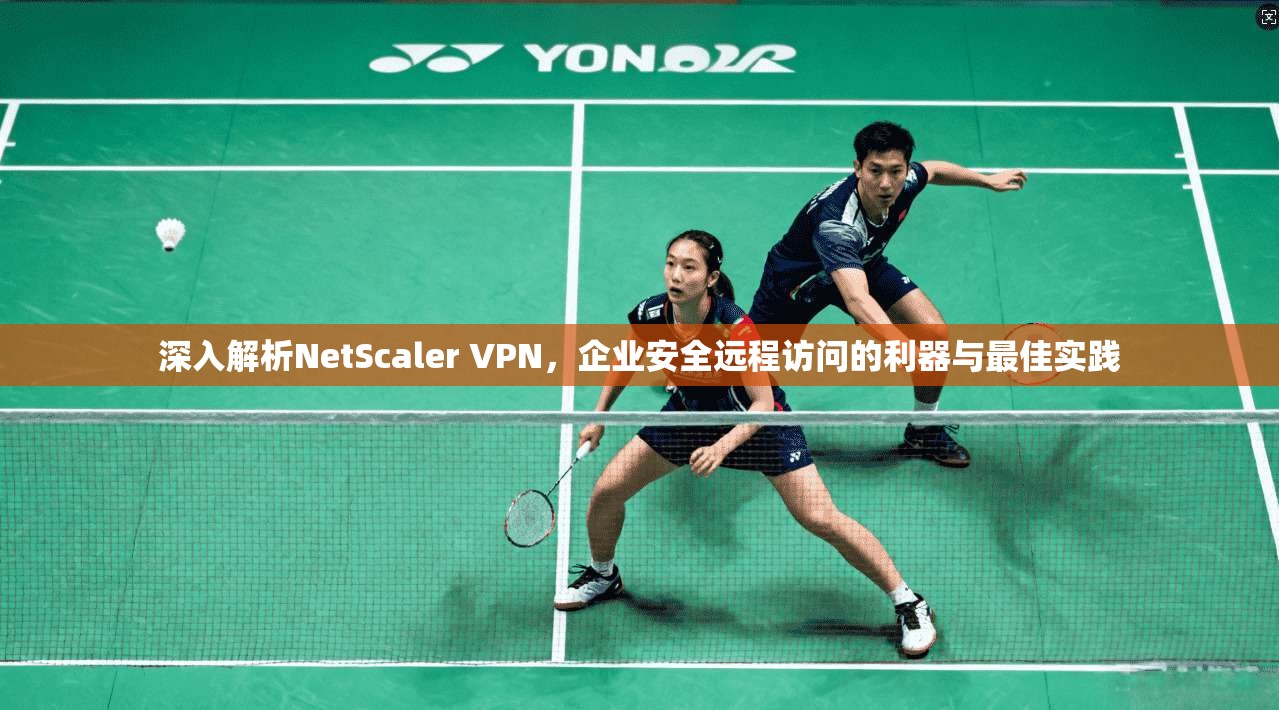 深入解析NetScaler VPN，企业安全远程访问的利器与最佳实践