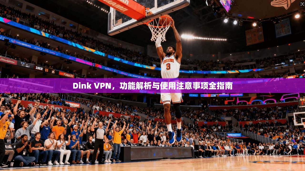 Dink VPN，功能解析与使用注意事项全指南
